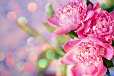 Tử vi ngày 27/8/2023 của 12 cung hoàng đạo: Bạch Dương tư duy logic, Song Tử kiểm soát cảm xúc