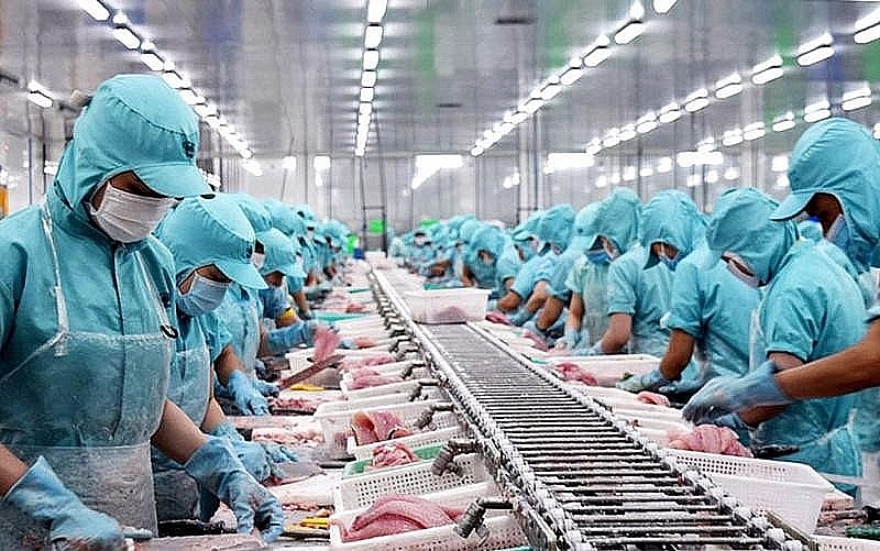 Cổ phiếu ngành thủy sản tăng “nóng” khi Trung Quốc cấm thủy sản Nhật Bản | DIỄN ĐÀN TÀI CHÍNH