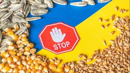 5 nước EU yêu cầu gia hạn lệnh cấm nhập khẩu ngũ cốc từ Ukraine
