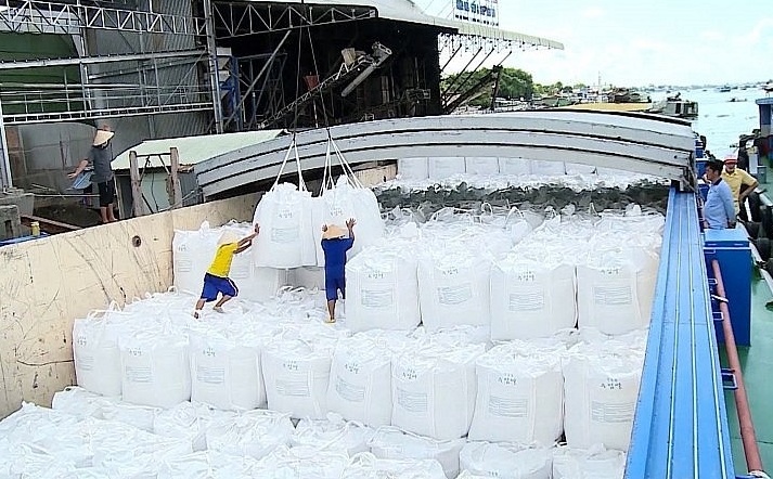 Giá gạo xuất khẩu thế giới vọt tăng sau động thái áp thuế gạo đồ của Ấn Độ