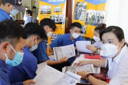 Nhiều doanh nghiệp xuất khẩu lao động bị phạt tiền, đình chỉ hoạt động