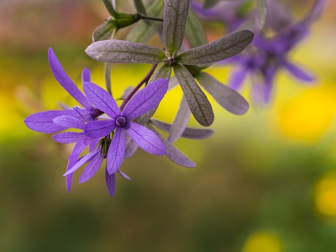 Tử vi tuần mới ngày 27/11 -3/12/2023: Tuổi Ngọ công việc quá tải, tuổi Tuất nỗ lực bứt phá Tử vi tuần mới ngày 27/11 3/12/2023: Tuổi Ngọ công việc quá tải, tuổi Tuất nỗ lực bứt phá