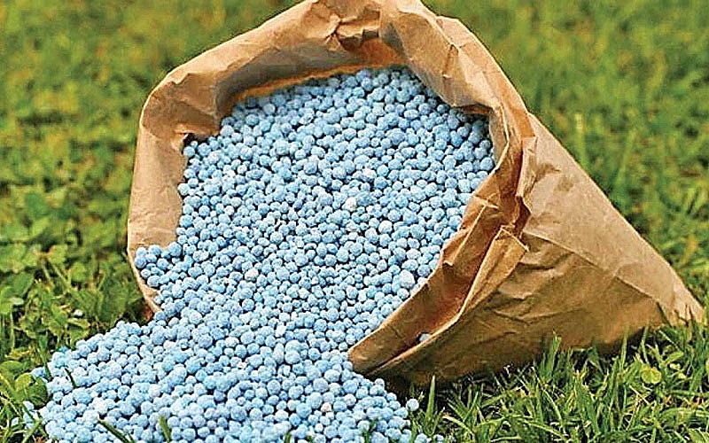 Giá phân bón hôm nay 31/8: Giao dịch nội địa ở mức thấp