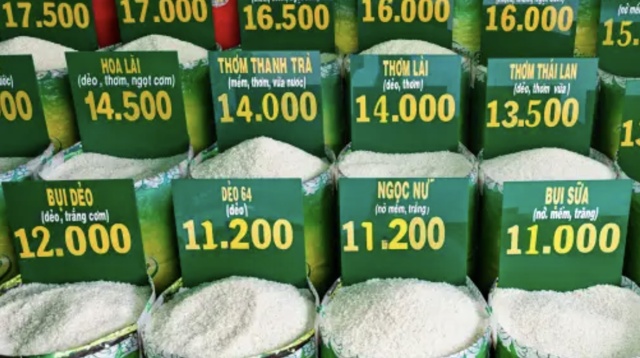 Giá xăng dầu, giá gạo và giá nhà ở thuê tăng đẩy CPI tháng 8 tăng 0,88%