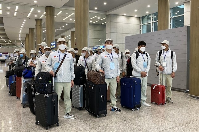 Hơn 97.000 lao động đi làm việc nước ngoài trong 8 tháng
