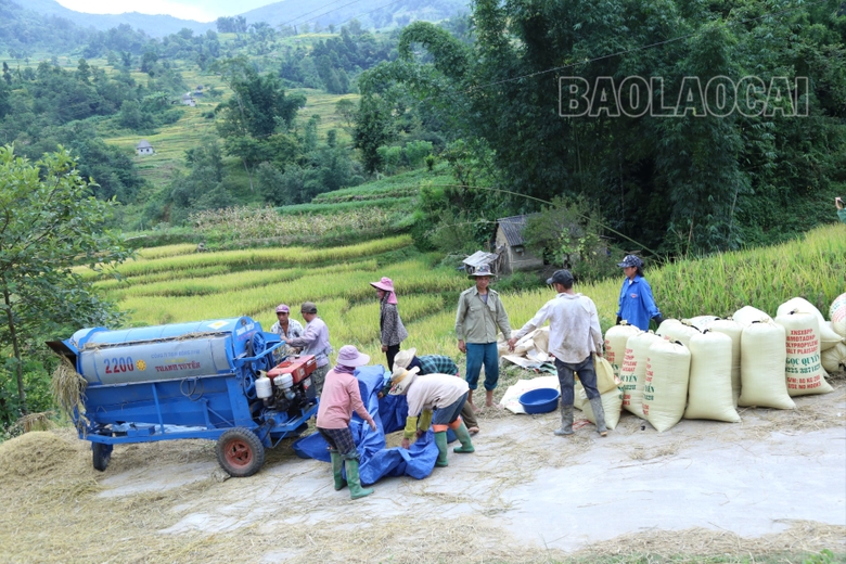 Mùa lúa vàng ở thung lũng di sản quốc gia ruộng bậc thang Thề Pả Mùa lúa vàng ở thung lũng di sản quốc gia ruộng bậc thang Thề Pả