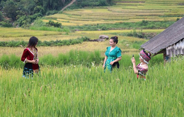 Đặc sắc văn hóa dân tộc Mông ở Tam Đường Đặc sắc văn hóa dân tộc Mông ở Tam Đường