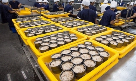 Tin tức kinh tế ngày 3/9: Xuất khẩu cá ngừ đóng hộp sang Hàn Quốc tăng đột biến