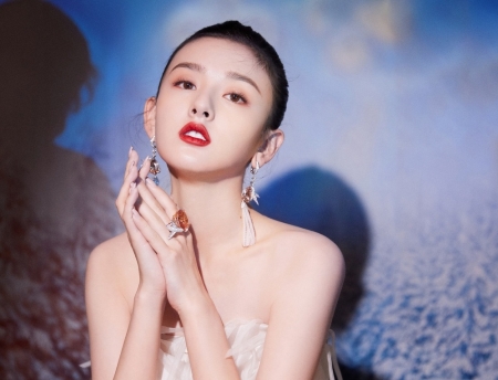 "Tiểu Trương Bá Chi" bị phong sát vì trốn thuế, nghi vấn lập công ty "ma"