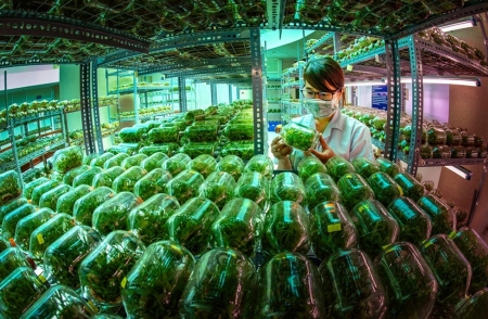 Gắn kết giáo dục đại học với khoa học, công nghệ và đổi mới sáng tạo - nền tảng phát triển nguồn nhân lực cho công nghiệp hóa, hiện đại hóa đất nước