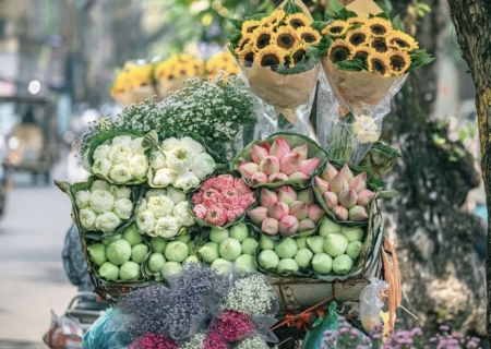 Tử vi ngày 8/9/2023 của 12 cung hoàng đạo: Bạch Dương tâm trạng tốt, Song Ngư làm theo ý mình