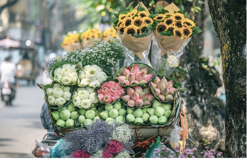 Tử vi ngày 8/9/2023 của 12 cung hoàng đạo: Bạch Dương tâm trạng tốt, Song Ngư làm theo ý mình