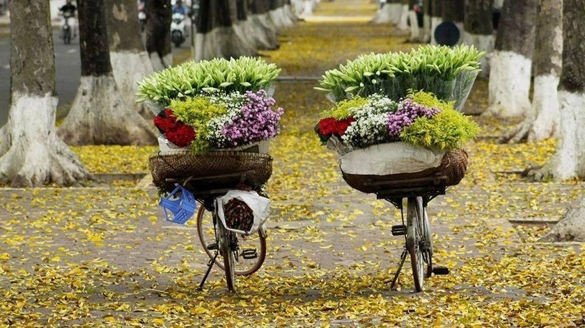 Tử vi ngày 8/9/2023 của 12 cung hoàng đạo: Bạch Dương tâm trạng tốt, Song Ngư làm theo ý mình