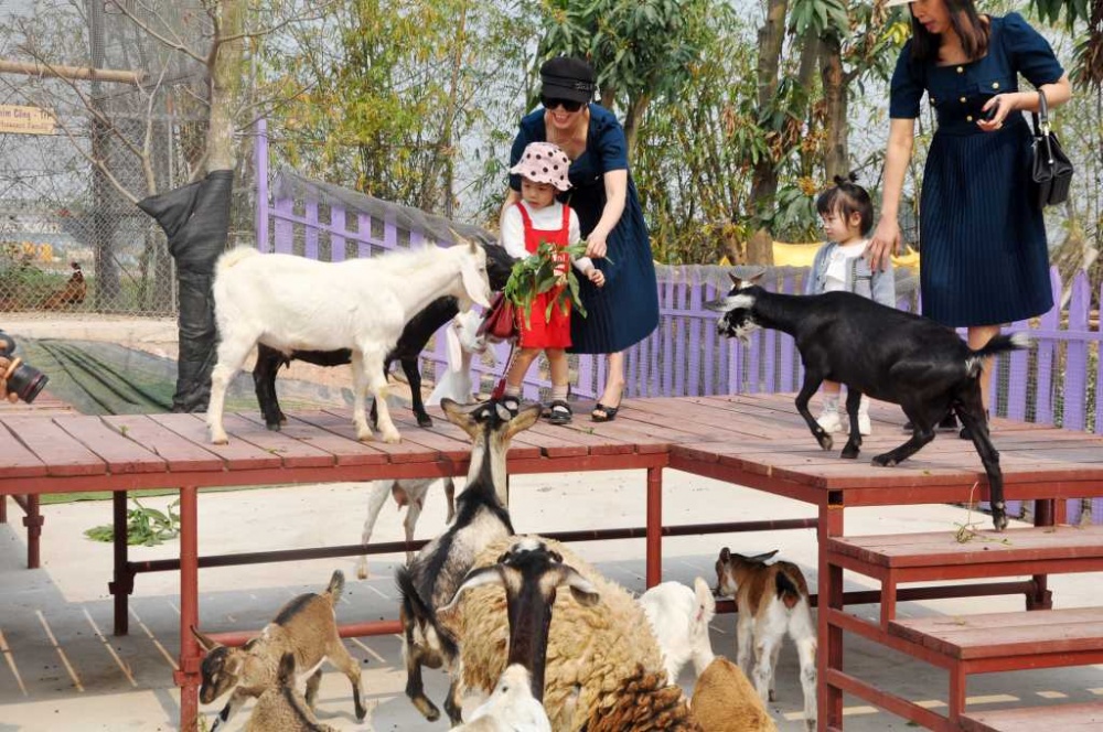 Mơ màng những điểm đến vào thu