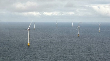 Equinor và Posco hợp tác xây dựng trang trại gió nổi ngoài khơi lớn nhất thế giới