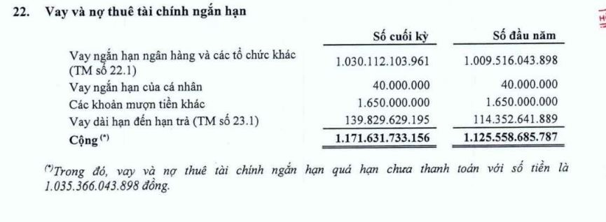 Bị yêu cầu mở thủ tục phá sản, Đức Long Gia Lai nợ nần ra sao?