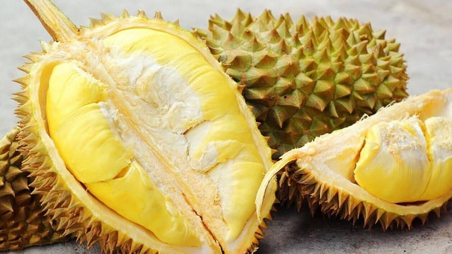 Nông nghiệp giữ vai trò trụ đỡ của nền kinh tế năm 2023
