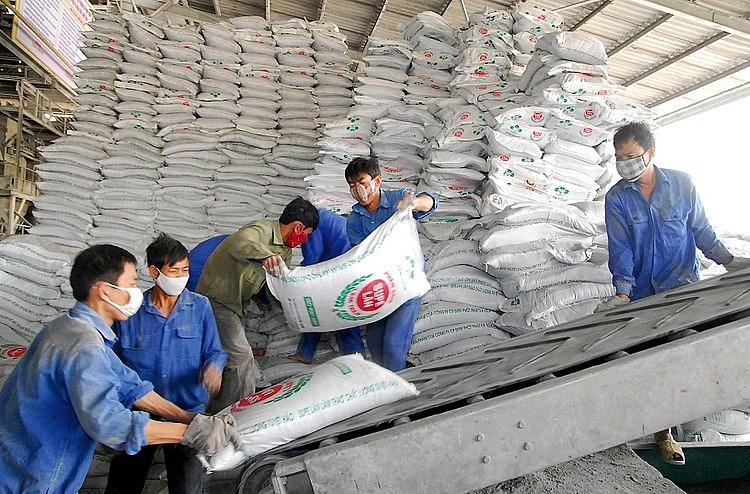 Giá phân bón hôm nay 13/9: Giao dịch cầm chừng