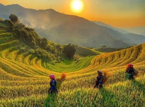 Ruộng bậc thang Hoàng Su Phì - Kiệt tác thiên nhiên nơi địa đầu Tổ quốc