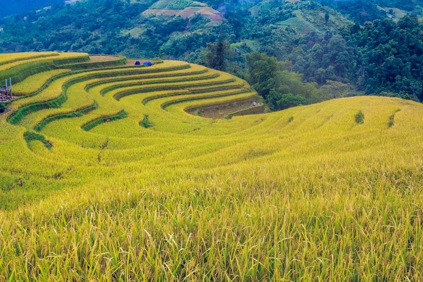 Ruộng bậc thang Hoàng Su Phì - Kiệt tác thiên nhiên nơi địa đầu Tổ quốc