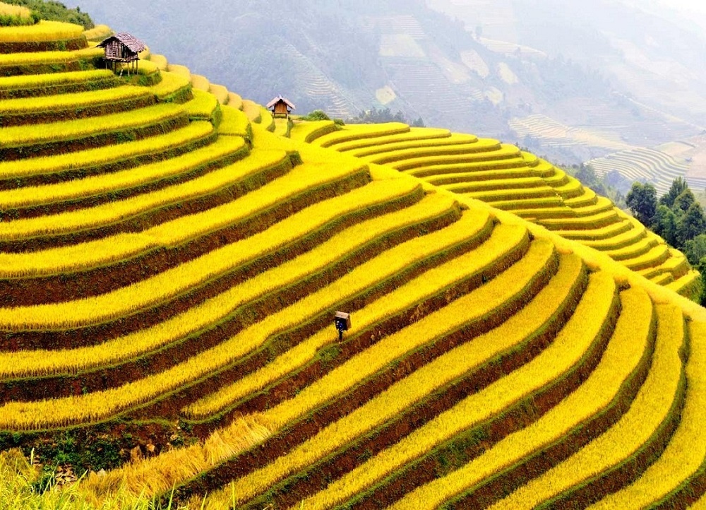 Ruộng bậc thang Hoàng Su Phì - Kiệt tác thiên nhiên nơi địa đầu Tổ quốc