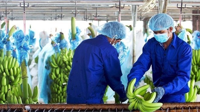 Chứng khoán khởi sắc, doanh nghiệp tăng tốc kế hoạch phát hành cổ phiếu