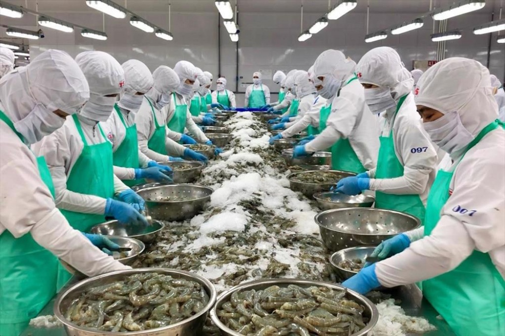 Xuất khẩu tôm sang Mỹ hai lần lập đỉnh trong 10 năm qua