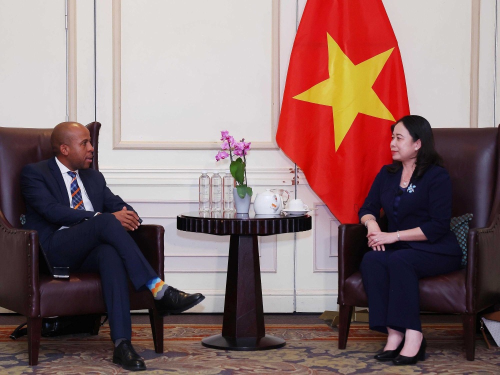Phó Chủ tịch nước Võ Thị Ánh Xuân gặp gỡ doanh nghiệp Nam Phi và Đại sứ quán, cộng đồng người Việt tại Nam Phi