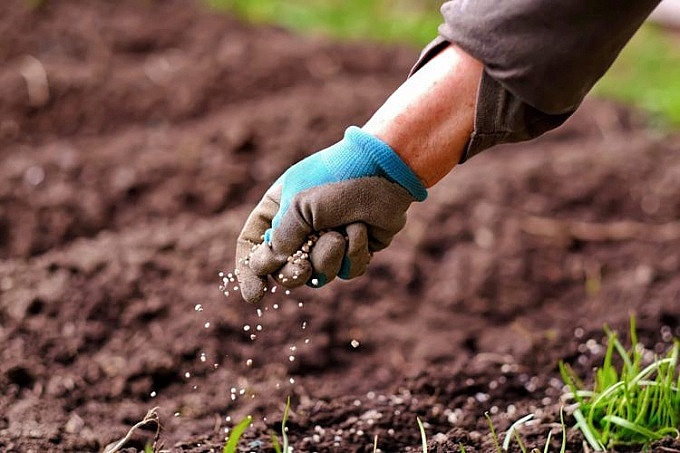 Giá phân bón hôm nay 16/9: Nguồn cung Kali tăng mạnh trong tháng 8