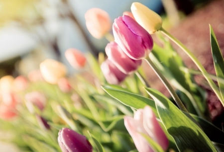 Tử vi ngày 19/9/2023 của 12 cung hoàng đạo: Song Tử cầu toàn, Ma Kết tự ti