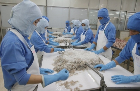 Xuất khẩu tôm sang Mỹ và Trung Quốc tiếp đà tăng
