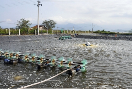Hỗ trợ Quảng Trị hóa chất để phòng, chống dịch bệnh thủy sản