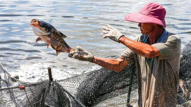 Xuất khẩu thủy sản trở lại đường đua và tăng tốc