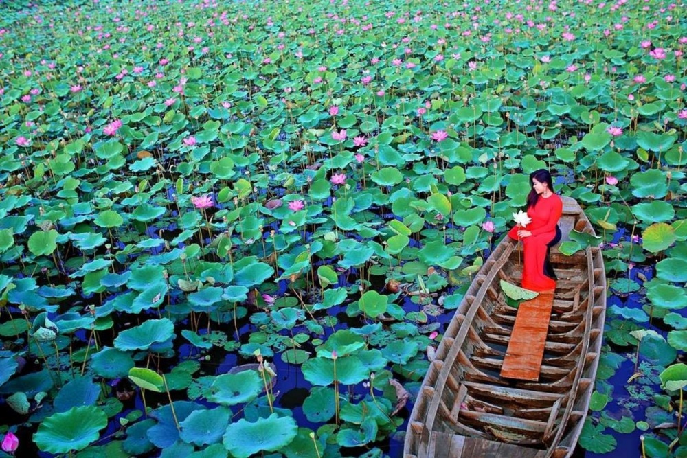 Checkin Đồng Tháp – Đất Sen hồng