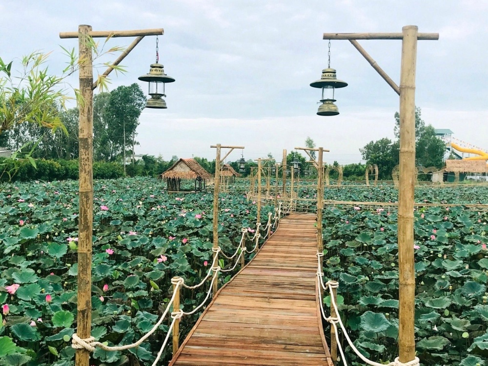 Checkin Đồng Tháp – Đất Sen hồng
