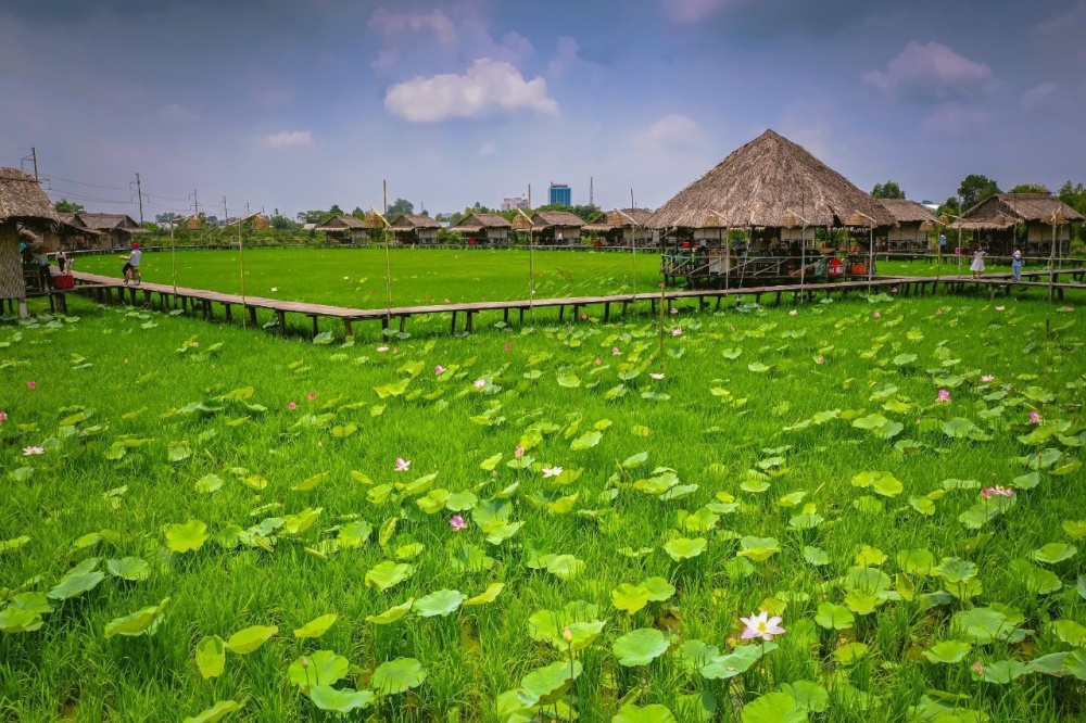 Checkin Đồng Tháp – Đất Sen hồng