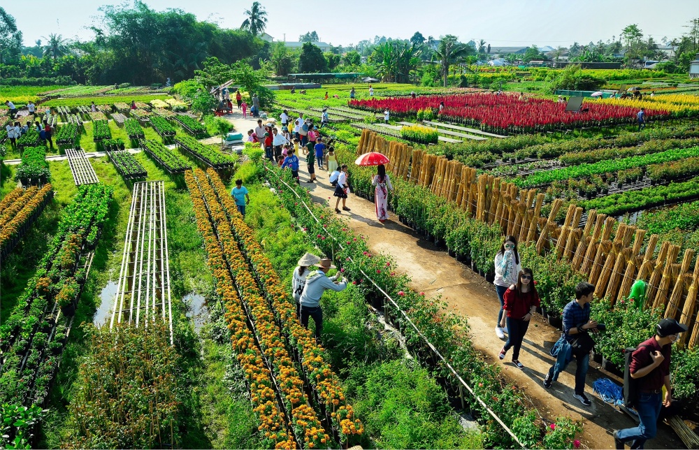 Checkin Đồng Tháp – Đất Sen hồng