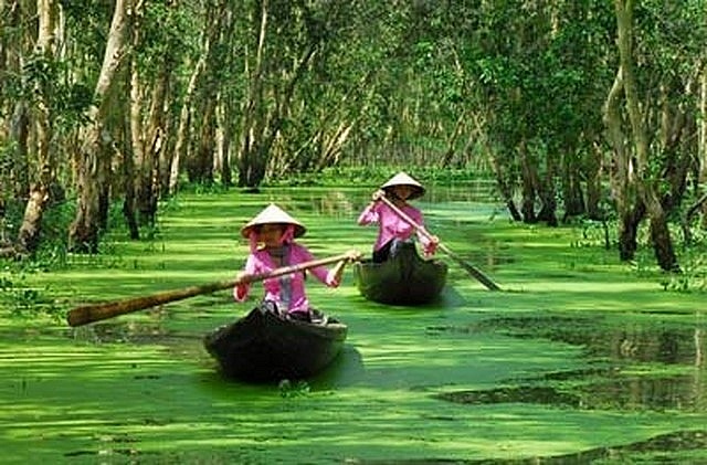 Checkin Đồng Tháp – Đất Sen hồng