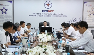 Ban QLDA các công trình điện miền Nam: Thực hiện tốt các dự án được giao trong năm 2023