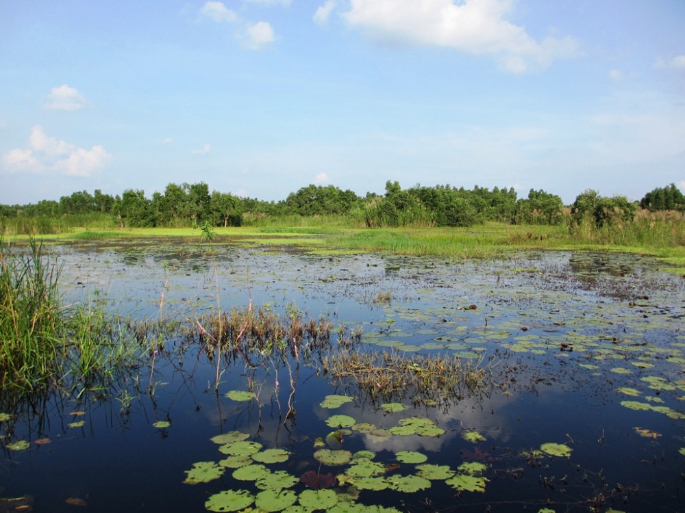 Ngao du trên hồ Biển Lạc