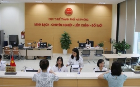Hải Phòng công khai loạt doanh nghiệp nợ thuế "khủng"