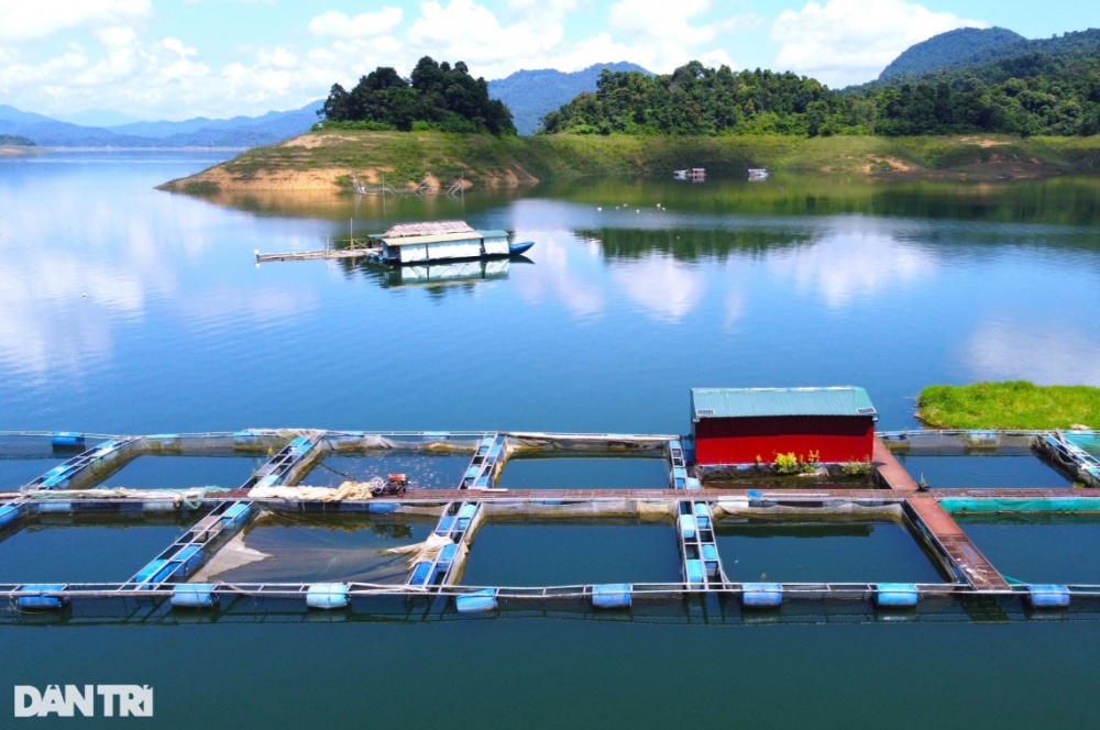 Những người làm 