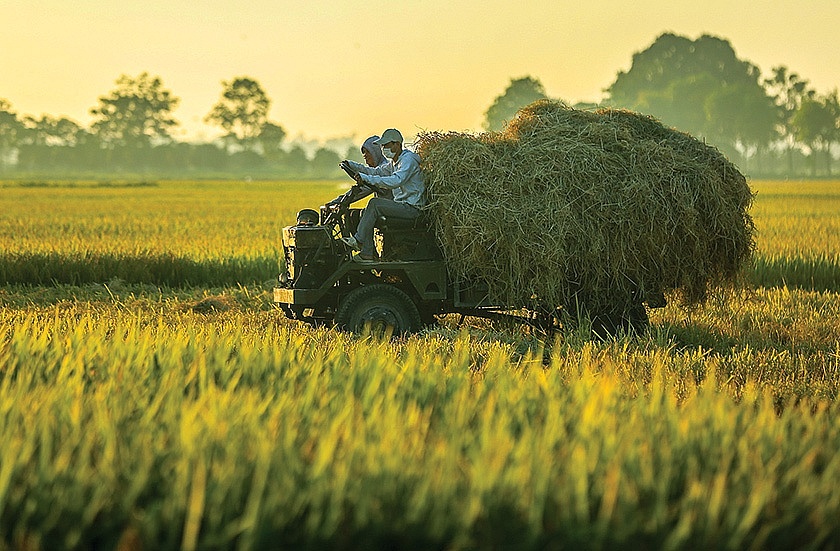 Gia tăng giá trị nông sản xuất khẩu