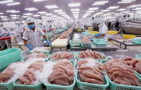 Hàng Việt vươn mình cùng Hiệp định CPTPP