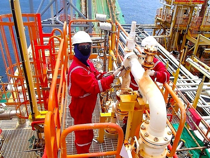 Thích nghi là nguồn gốc của lao động sáng tạo