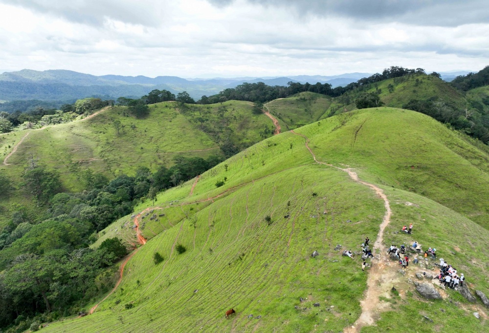 Lâm Đồng: Thí điểm hoạt động du lịch trekking Tà Năng – Phan Dũng