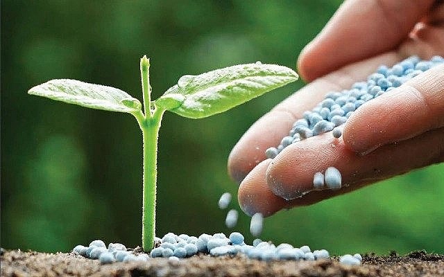 Giá phân bón hôm nay 4/10: DAP Nga tăng nhẹ