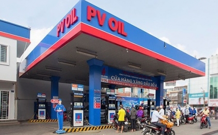 Nghiên cứu tiếp tục giảm thuế bảo vệ môi trường đối với xăng dầu trong năm 2024