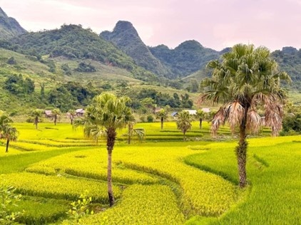 Thái Nguyên và định hướng phát triển sản phẩm “Du lịch cộng đồng gắn với trekking”