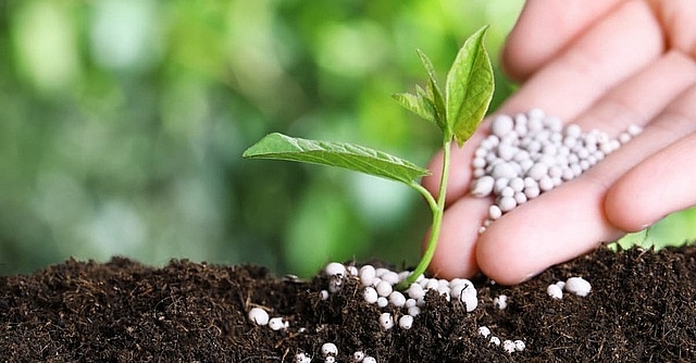 Giá phân bón hôm nay 7/10: Nhu cầu Ure yếu do hết thời vụ